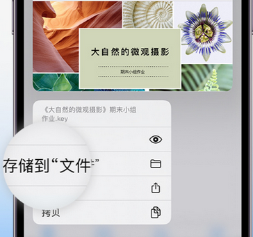 南谯apple维修中心分享iPhone文件应用中存储和找到下载文件