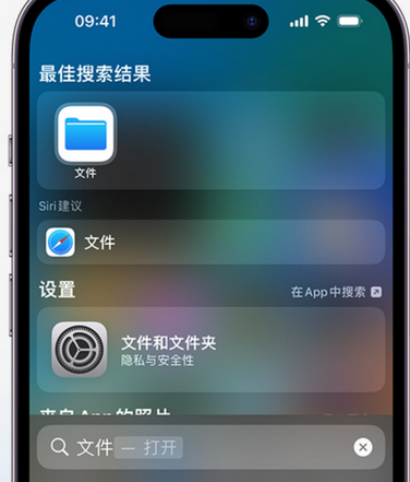 南谯apple维修中心分享iPhone文件应用中存储和找到下载文件