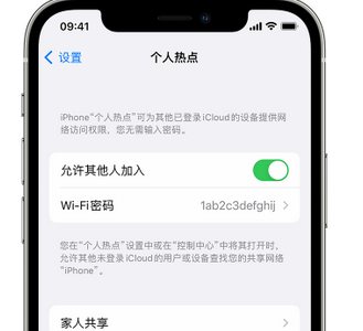 南谯apple服务站点分享iPhone上个人热点丢失了怎么办