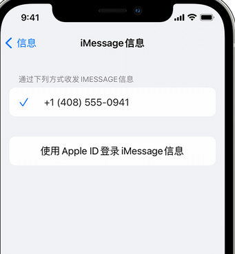 南谯apple维修iPhone上无法正常发送iMessage信息 