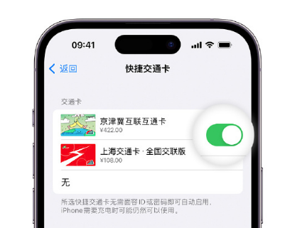 南谯apple维修点分享iPhone上更换Apple Pay快捷交通卡手绘卡面 