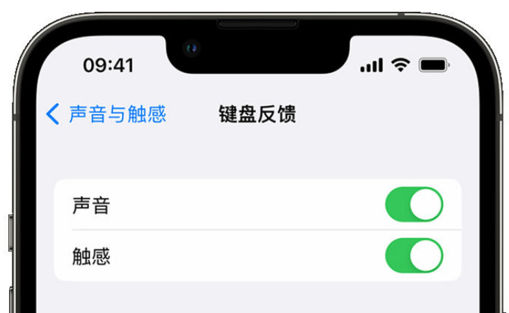 南谯苹果手机维修分享iPhone 14触感键盘使用方法 