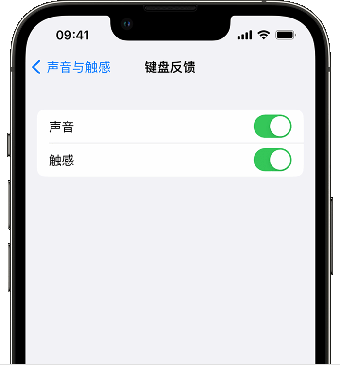 南谯苹果14维修店分享如何在 iPhone 14 机型中使用触感键盘 