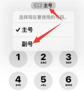 南谯苹果14维修店分享iPhone 14 Pro Max使用副卡打电话的方法 