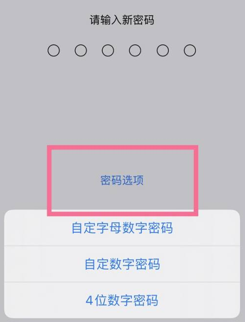 南谯苹果14维修分享iPhone 14plus设置密码的方法 