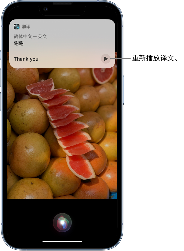 南谯苹果14维修分享 iPhone 14 机型中使用 Siri：了解 Siri 能帮你做什么 