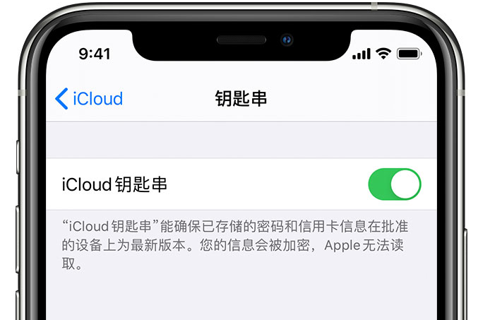 南谯苹果手机维修分享在 iPhone 上开启 iCloud 钥匙串之后会储存哪些信息 