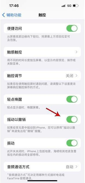 南谯苹果手机维修分享iPhone手机如何设置摇一摇删除文字 