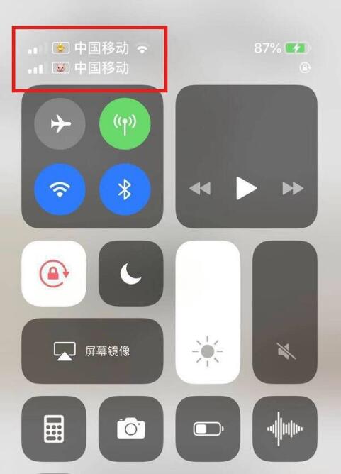 南谯苹果手机维修分享为 iPhone 12 双卡设置标签 